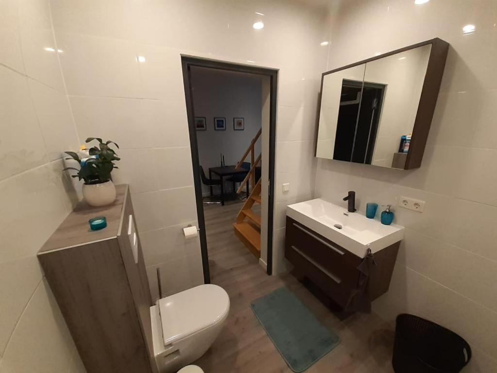Appartement Deluxe 튈뷔르흐 외부 사진